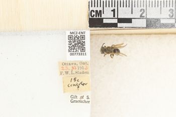 Media type: image;   Entomology 773311 Aspect: Labels